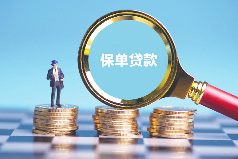 厦门湖里区5私人借钱. 个人借款流程. 贷款方式选择